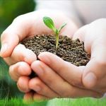 Imagem ilustrativa de Meio Ambiente