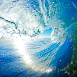 Pesca, Maricultura e Beneficiamento de Pescado