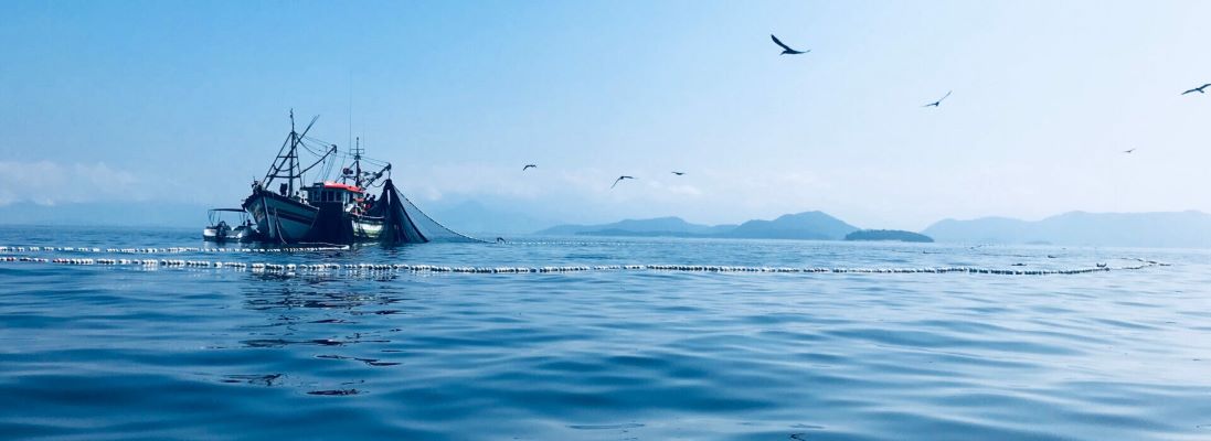 Embarcação de pesca no mar